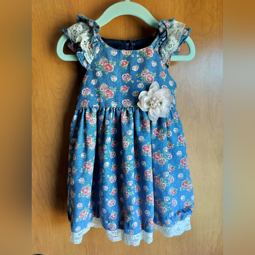 Bonnie Baby Blue/Pink Coquette Cottagecore Spring Floral Lace Ruffle Dress 18M